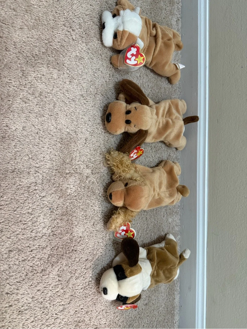 Ty Beanie Babies - Retired Collection (Wrinkles, Bones, Spunky, Bernie)